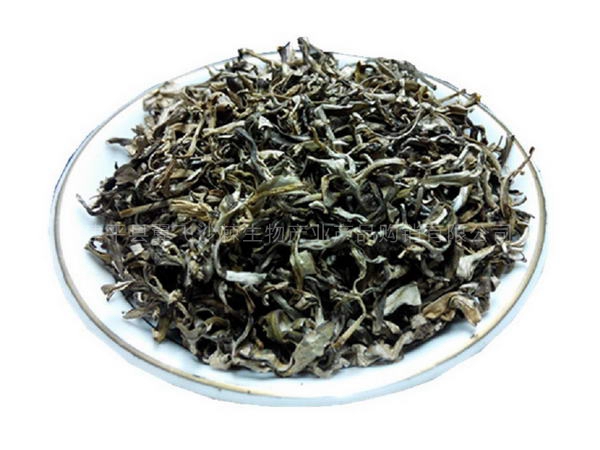 沙棘茶葉