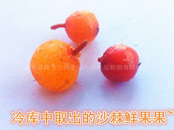 沙棘鮮果